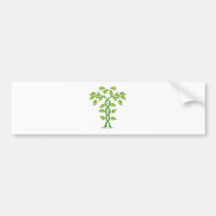 DNA plant concept Bumper Stickers