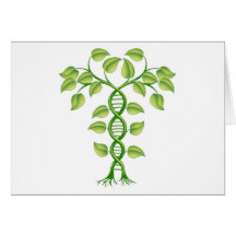 DNA plant concept Card