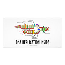 DNA Replication Inside (DNA Attitude) Photo Card Template