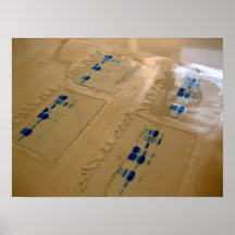 DNA samples for experiment Posters
