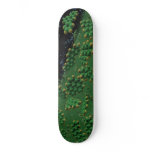 DNA SKATE DECK