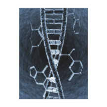 DNA strand Canvas Prints