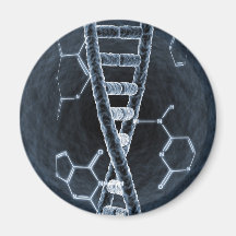 DNA strand Magnets
