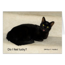 Do I feel lucky? Black CAt California Products cards