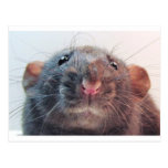 Do I Have Your Attention? Post Cards
