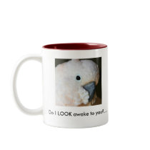 Do I LOOK awake to you?.....Coffee Mug..