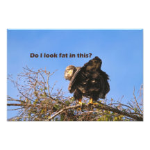"Do I Look Fat In This" Eagle Art Photo