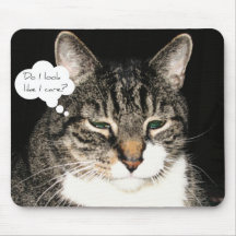 Do I look like I care? Mouse Pad