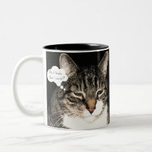 Do I look like I care? Mug