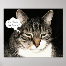 Do I look like I care? Print