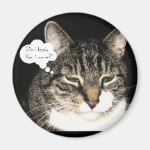 Do I look like I care? Refrigerator Magnet