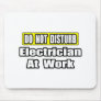 Do Not Disturb...Electrician at Work