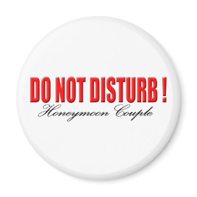 Do Not Disturb Honeymoon Couple Magnet by weddingpartygifts