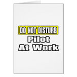 Do Not Disturb...Pilot at Work