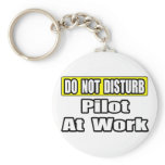Do Not Disturb...Pilot at Work