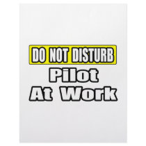 Do Not Disturb...Pilot at Work