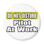 Do Not Disturb...Pilot at Work