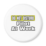Do Not Disturb...Pilot at Work