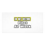 Do Not Disturb...Pilot at Work photo cards