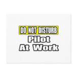 Do Not Disturb...Pilot at Work