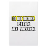 Do Not Disturb...Pilot at Work stationery
