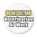 Do Not Disturb...Veterinarian At Work