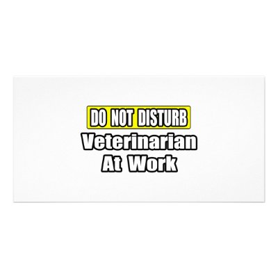 Do Not Disturb...Veterinarian At Work by VeterinarianShirts
