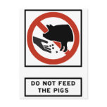 Do Not Feed the Pigs Highway Sign Postcard