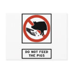 Do Not Feed the Pigs Highway Sign Postcard