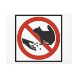 Do Not Feed the Squirrels Highway Sign Post Cards