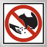 Do Not Feed the Squirrels Highway Sign Poster