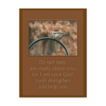 do not look anxiously about you bird on arch post card