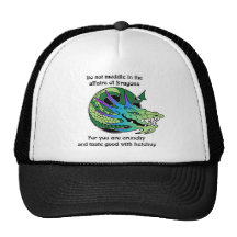 Do Not Meddle in the Affairs of Dragons Trucker Hat