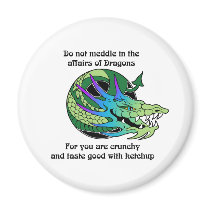 Do Not Meddle in the Affairs of Dragons Magnets