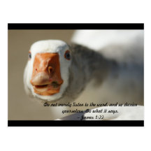 Do not merely listen to the word, and so deceive y postcards