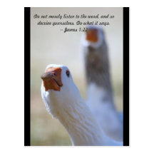 Do not merely listen to the word, and so deceive y post card