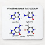 Do You Have All Your Bases Covered? (DNA Bases)