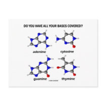 Do You Have All Your Bases Covered? (DNA Bases)