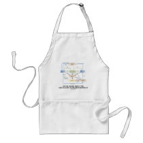 Do You Know About Circulation In Macroeconomics? Apron