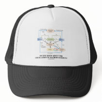 Do You Know About Circulation In Macroeconomics?