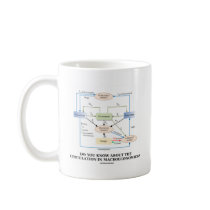 Do You Know About Circulation In Macroeconomics? Coffee Mug