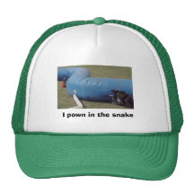 Do you pown in the snake? if you do this is the ha mesh hat