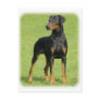Doberman 9P99D-60 Post Card