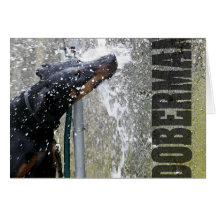 Doberman at the Fountain Card