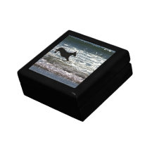 Doberman - Black - Ocean Leap Gift Box