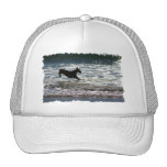 Doberman - Black - Ocean Leap Mesh Hats