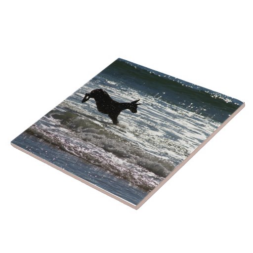 Doberman - Black - Ocean Leap Tiles