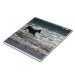 Side