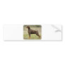 Doberman Bumper Sticker