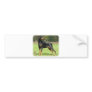Doberman Bumper Sticker